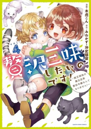 贅沢三昧したいのです！～貧乏領地の魔法改革 悪役令嬢なんてなりません！～4巻の表紙