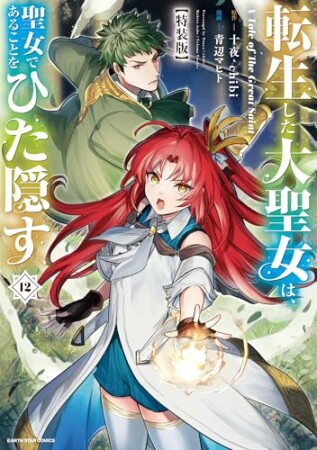 転生した大聖女は、聖女であることをひた隠す A Tale of The Great Saint12巻の表紙