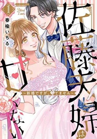 佐藤夫婦は甘くない～新婚ですが、シてません～1巻の表紙