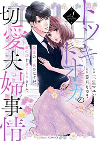 トツキトオカの切愛夫婦事情～最後の一夜のはずが、愛の証を身ごもりました～1巻の表紙