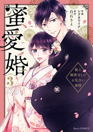 蜜愛婚 ～極上御曹司とのお見合い事情～3巻の表紙