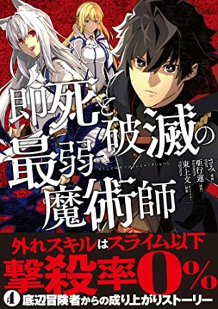 即死と破滅の最弱魔術師11巻の表紙