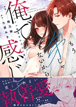 もう弟じゃないから、俺で感じて？ イジワル執着系のずるい愛し方1巻の表紙