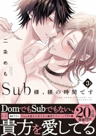 Sub様、躾の時間です3巻の表紙