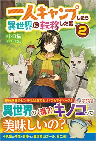 「一人キャンプしたら異世界に転移した話」シリーズ2巻の表紙