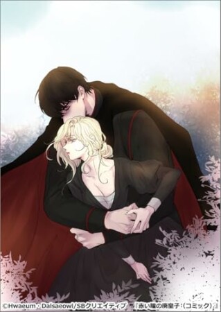 赤い瞳の廃皇子2巻の表紙