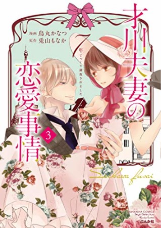 才川夫妻の恋愛事情 7年じっくり調教されました3巻の表紙