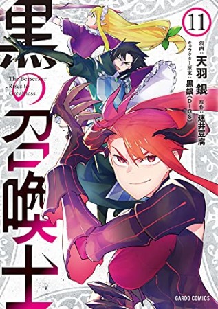 黒の召喚士11巻の表紙