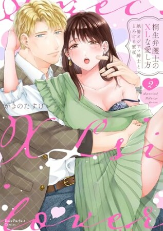 桐生弁護士のXLな愛し方～絶倫オジサマ紳士ととろける蜜夜【単行本版】2巻の表紙