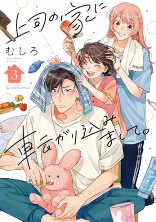 上司の家に転がり込みまして。3巻の表紙