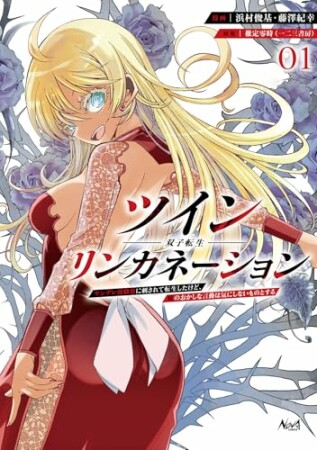 ツインリンカネーション1巻の表紙
