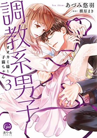 調教系男子: オオカミ様と子猫ちゃん3巻の表紙