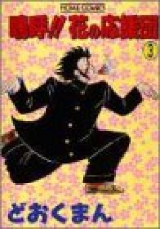 嗚呼!!花の応援団3巻の表紙