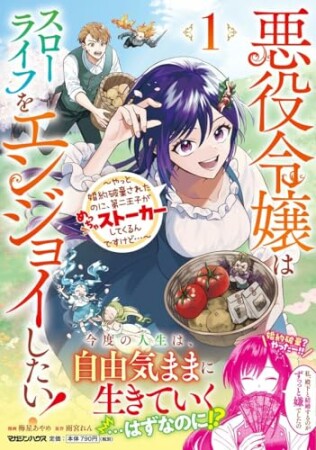 悪役令嬢はスローライフをエンジョイしたい！～やっと婚約破棄されたのに、第二王子がめっちゃストーカーしてくるんですけど…～1巻の表紙