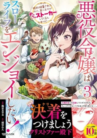 悪役令嬢はスローライフをエンジョイしたい！～やっと婚約破棄されたのに、第二王子がめっちゃストーカーしてくるんですけど…～3巻の表紙