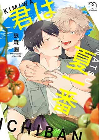 君は夏一番1巻の表紙