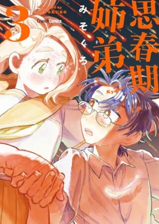 思春期姉弟3巻の表紙