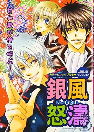 銀風怒濤3巻の表紙