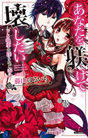 あなたを躾けて壊したい1巻の表紙