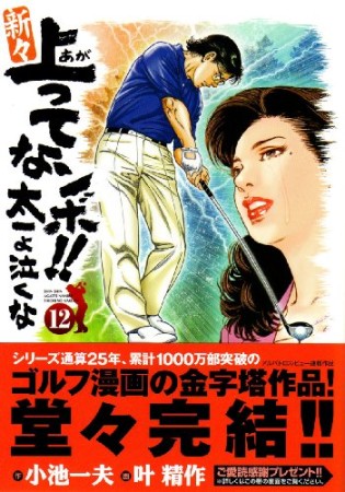 新々上ってなンボ!!太一よ泣くな12巻の表紙