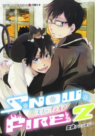 スノーファイア2巻の表紙