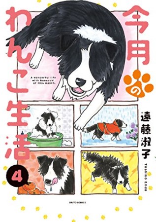 今月のわんこ生活4巻の表紙