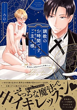 調教のお時間です、ご主人様。～異世界に召喚されたら花嫁だった～1巻の表紙