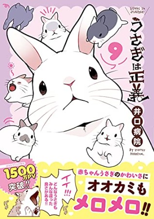 うさぎは正義9巻の表紙