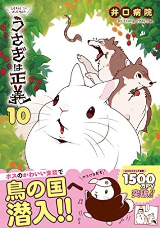 うさぎは正義10巻の表紙