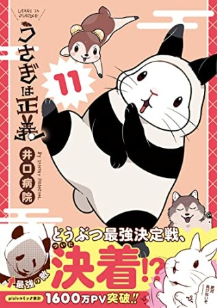 うさぎは正義11巻の表紙