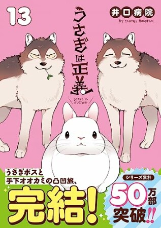 うさぎは正義13巻の表紙