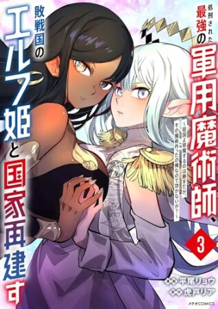 処刑された最強の軍用魔術師、敗戦国のエルフ姫と国家再建す～祖国よ邪魔するのは勝手だが、その魔術作ったの俺なので効かないが？～3巻の表紙