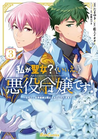 私が聖女？いいえ、悪役令嬢です！　～なので、全員破滅は阻止させていただきます～3巻の表紙