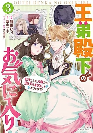 王弟殿下のお気に入り　転生しても天敵から逃げられないようです！？3巻の表紙