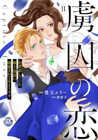 虜囚の恋　お世話していた騎士団長に溺愛されてるようです2巻の表紙