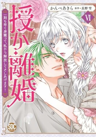 授か離婚 ～一刻も早く身籠って、私から開放してさしあげます！6巻の表紙