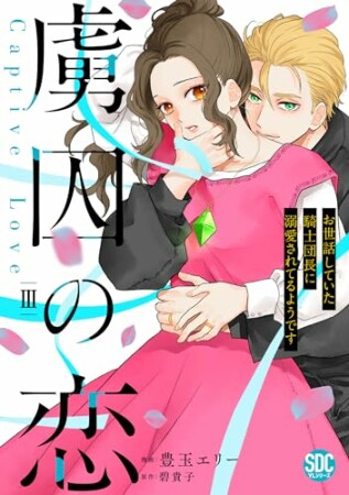 虜囚の恋　お世話していた騎士団長に溺愛されてるようです3巻の表紙