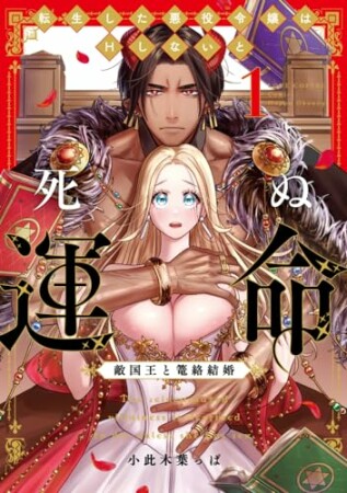 転生した悪役令嬢はHしないと死ぬ運命～敵国王と篭絡結婚～【コミックス版】1巻の表紙