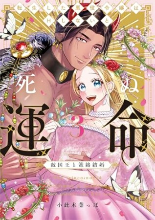 転生した悪役令嬢はHしないと死ぬ運命～敵国王と篭絡結婚～【コミックス版】3巻の表紙