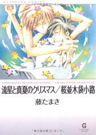 流星と真夏のクリスマス 桜並木袋小路1巻の表紙