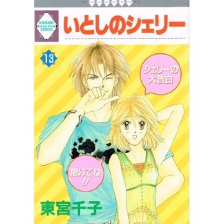 いとしのシェリー13巻の表紙