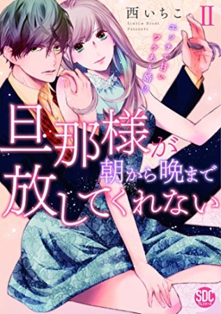 旦那様が朝から晩まで放してくれない エッチで甘いワケあり婚！？2巻の表紙