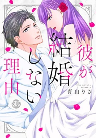 彼が結婚しない理由1巻の表紙