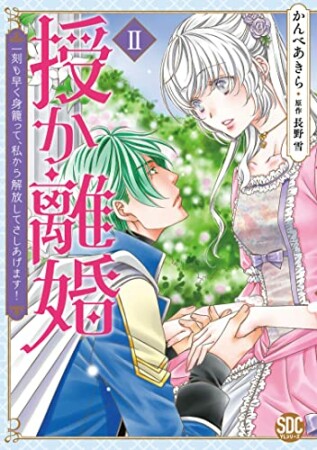 授か離婚 ～一刻も早く身籠って、私から開放してさしあげます！2巻の表紙