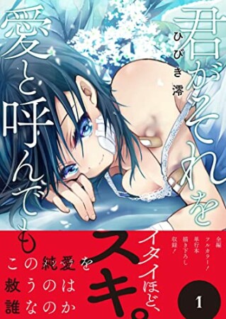 君がそれを愛と呼んでも1巻の表紙