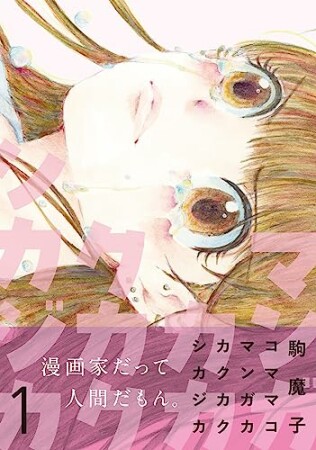 マンガカカクカクシカジカ１1巻の表紙